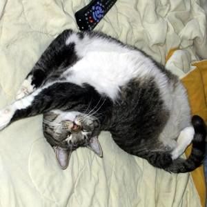 Meet your Posher, Margaret